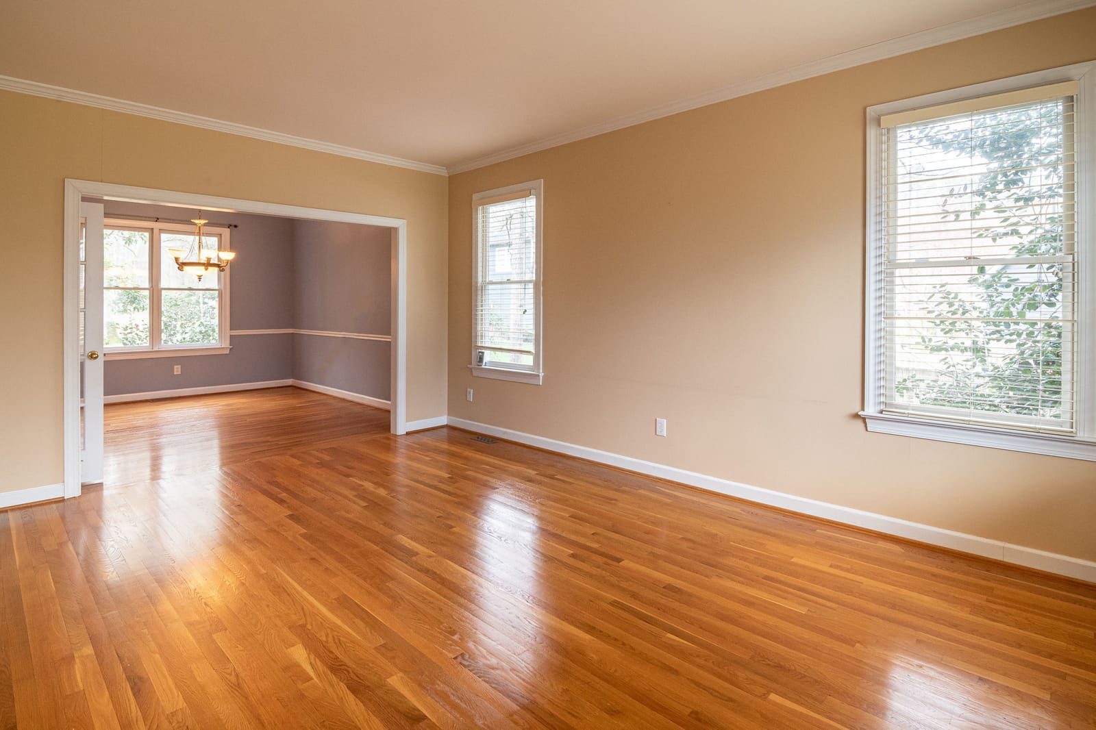 Professional commercial dustless sander refinishing white oak hardwood floor
