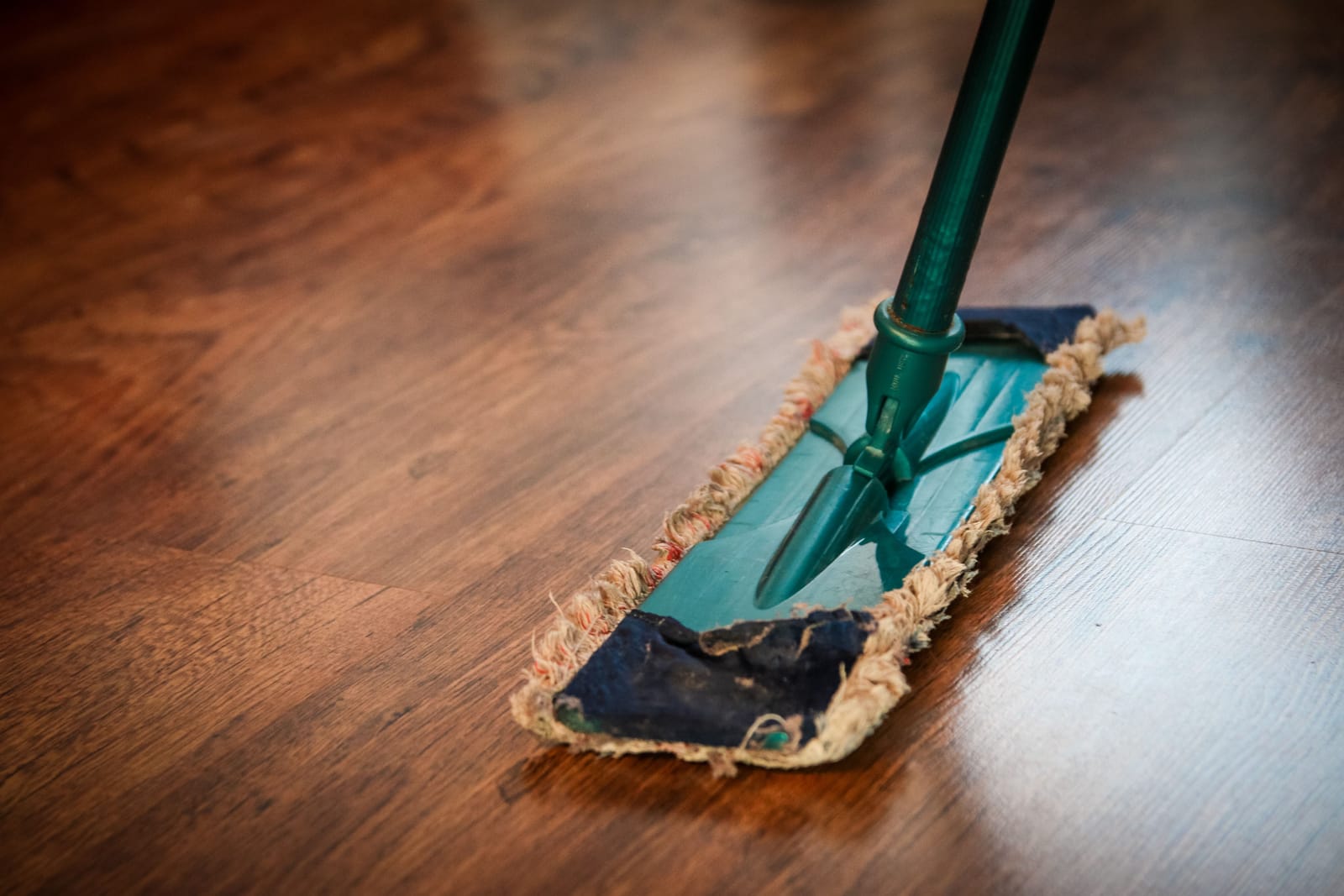 Mirror-finish hardwood floor receiving professional commercial rotary buffing
